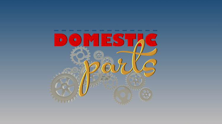 Domestic Machine Parts - All