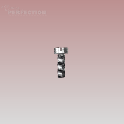 Industrial Parts Screw for Singer 132-K6/Seiko 2B