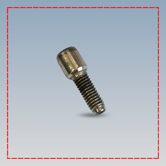 Domestic Parts Needle Set Screw for Bernina