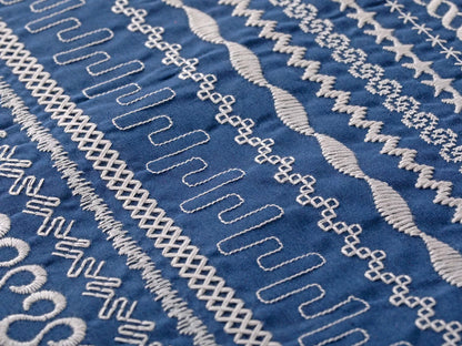 Domestic Quilting PFAFF quilt expression 720